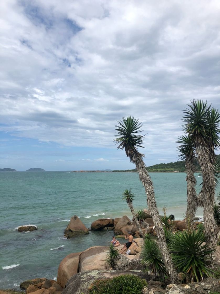 Place Praia de Cima (Pinheira)
