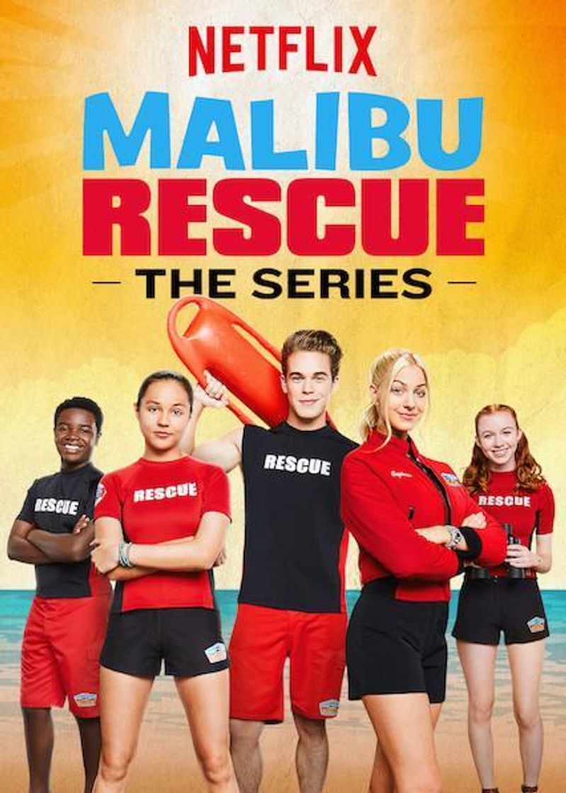 Serie Los vigilantes de Malibú; la serie