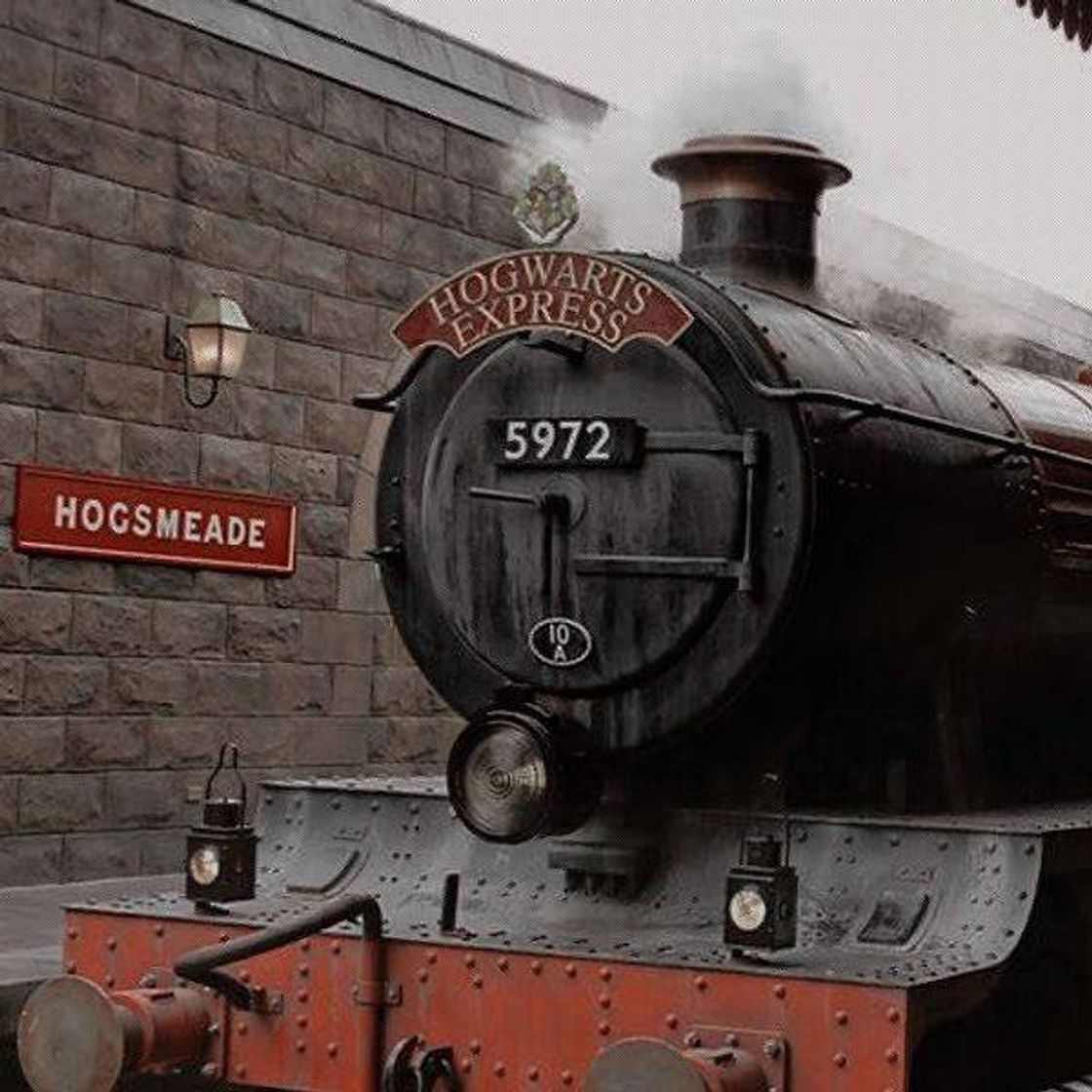 Moda Hogwarts express 