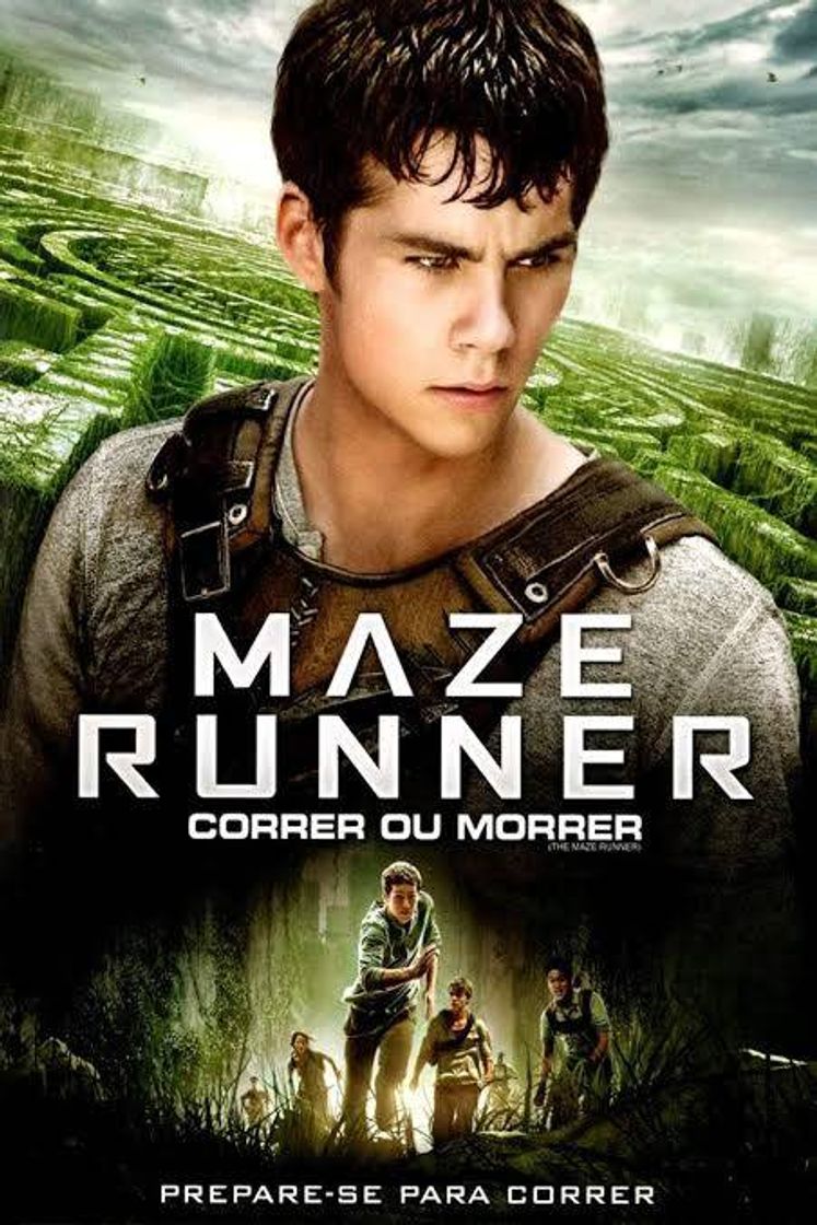 Película Maze Runner - Correr ou Morrer | 