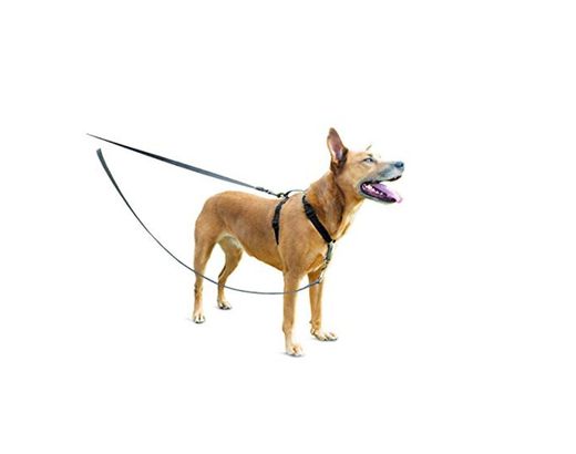 Petsafe Anti-Pull Dog Lead Control de Dos Puntos arnés 3 en 1
