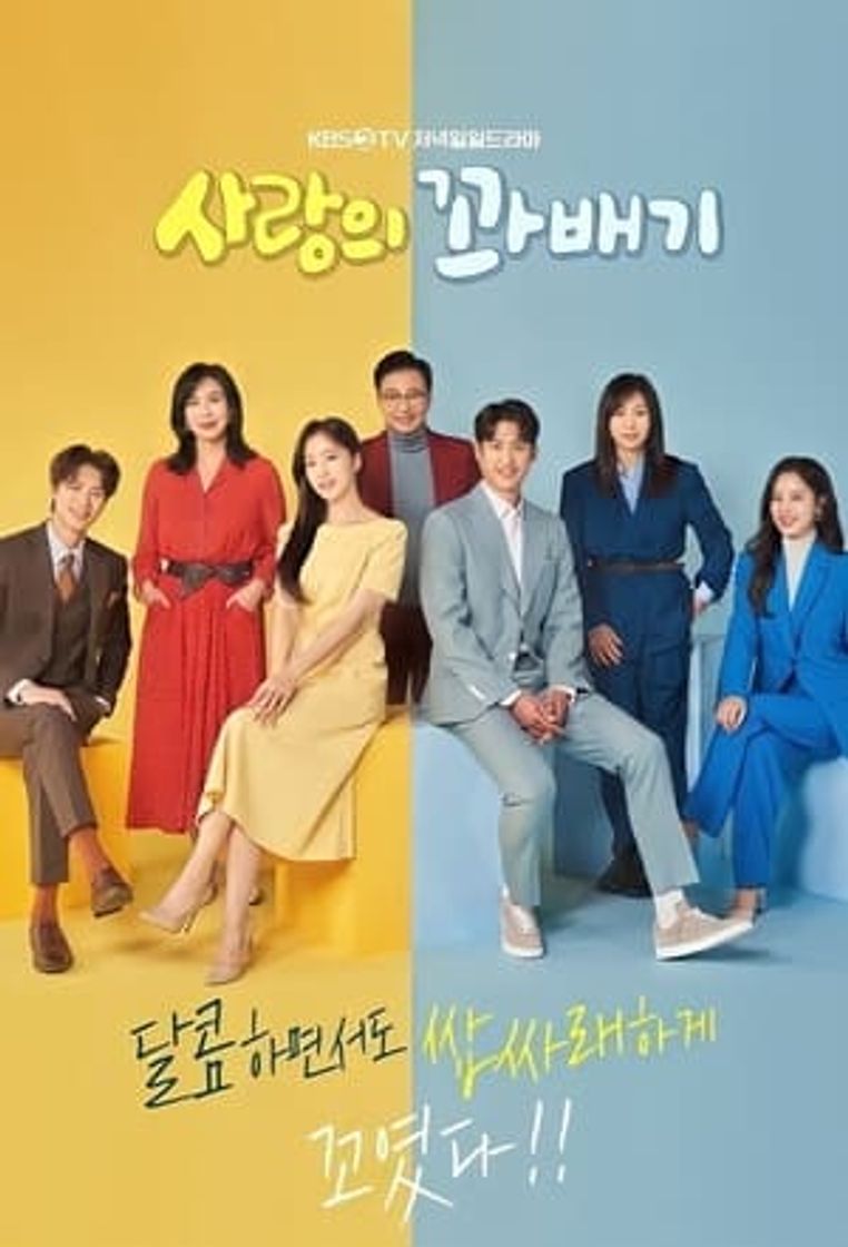 사랑의 꽈배기