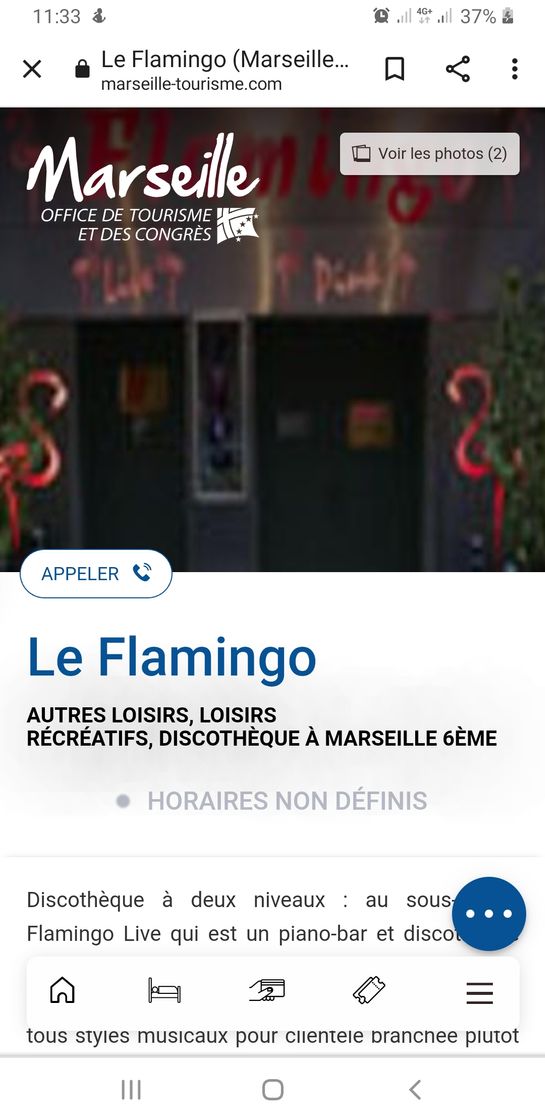 Social Le Flamingo