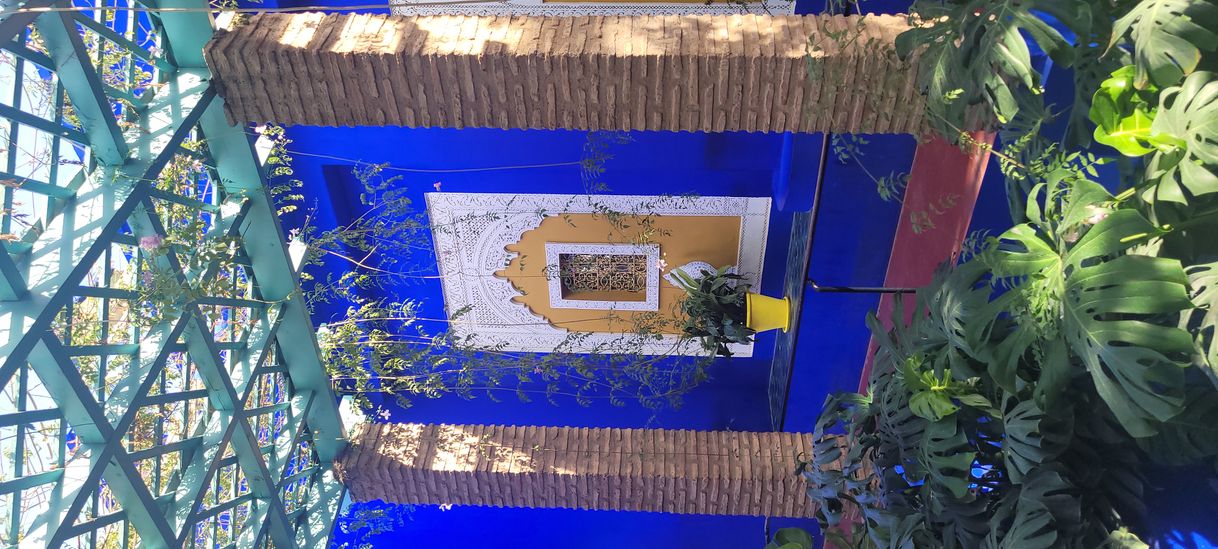 Lugar Jardín Majorelle