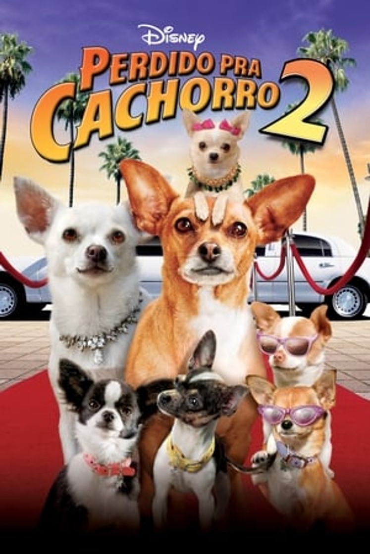 Película Un chihuahua en Beverly Hills 2