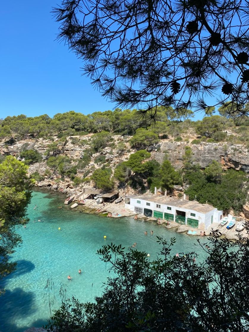 Place Playa de Cala Pi