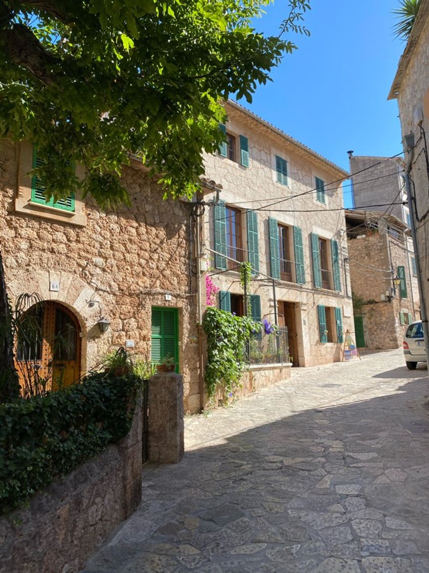 Place Valldemosa