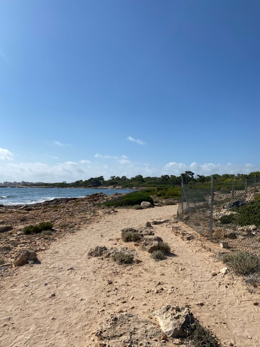 Place latja de ses Salines
