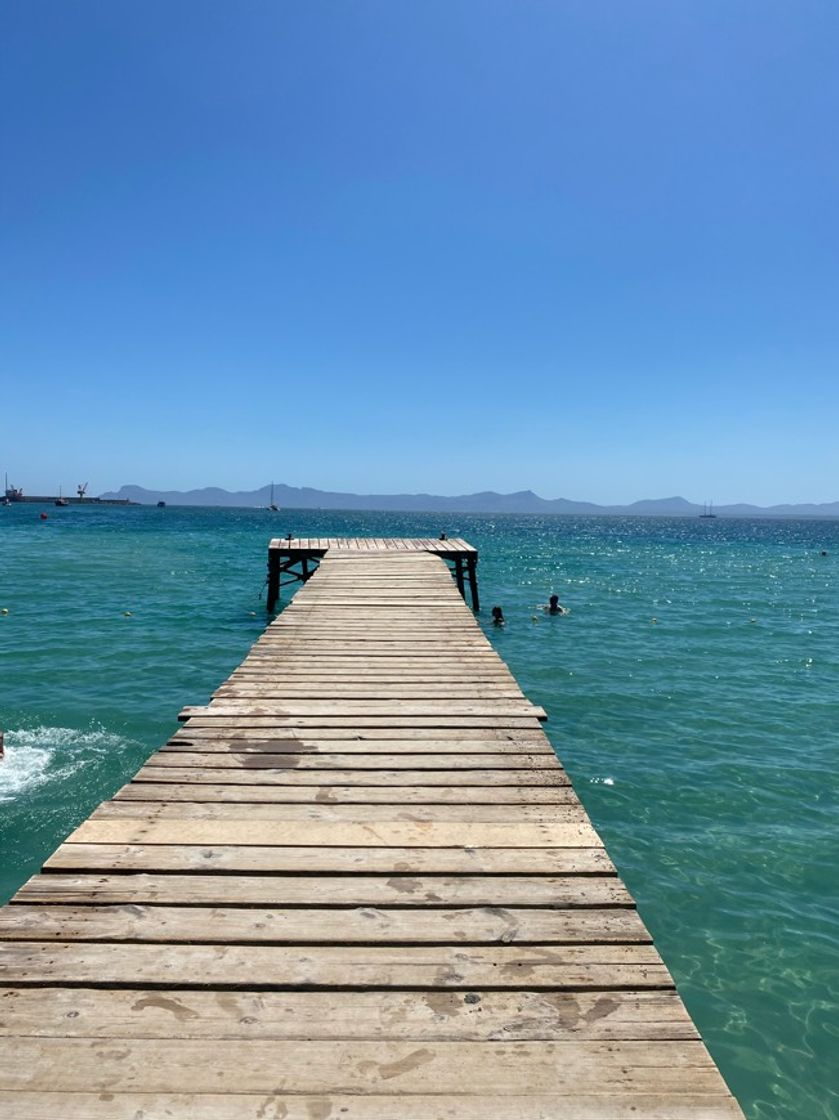 Place Puerto de Alcudia