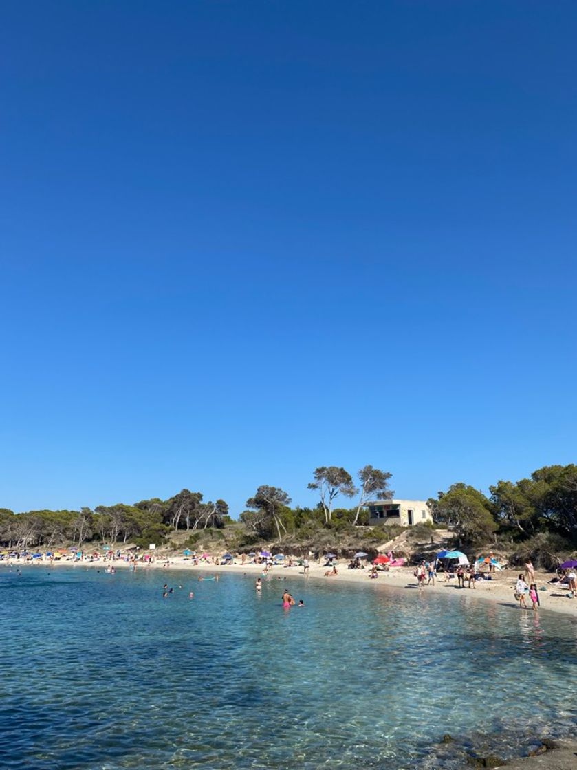 Place Colonia de Sant Jordi