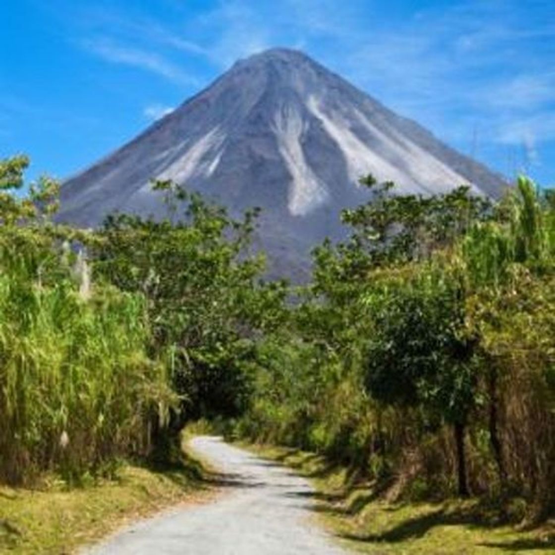 Lugar Parque nacional Volcán Arenal