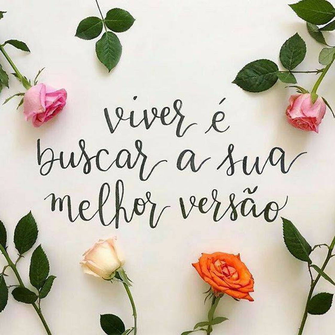 Moda Viver é buscar a sua melhor versão 💚