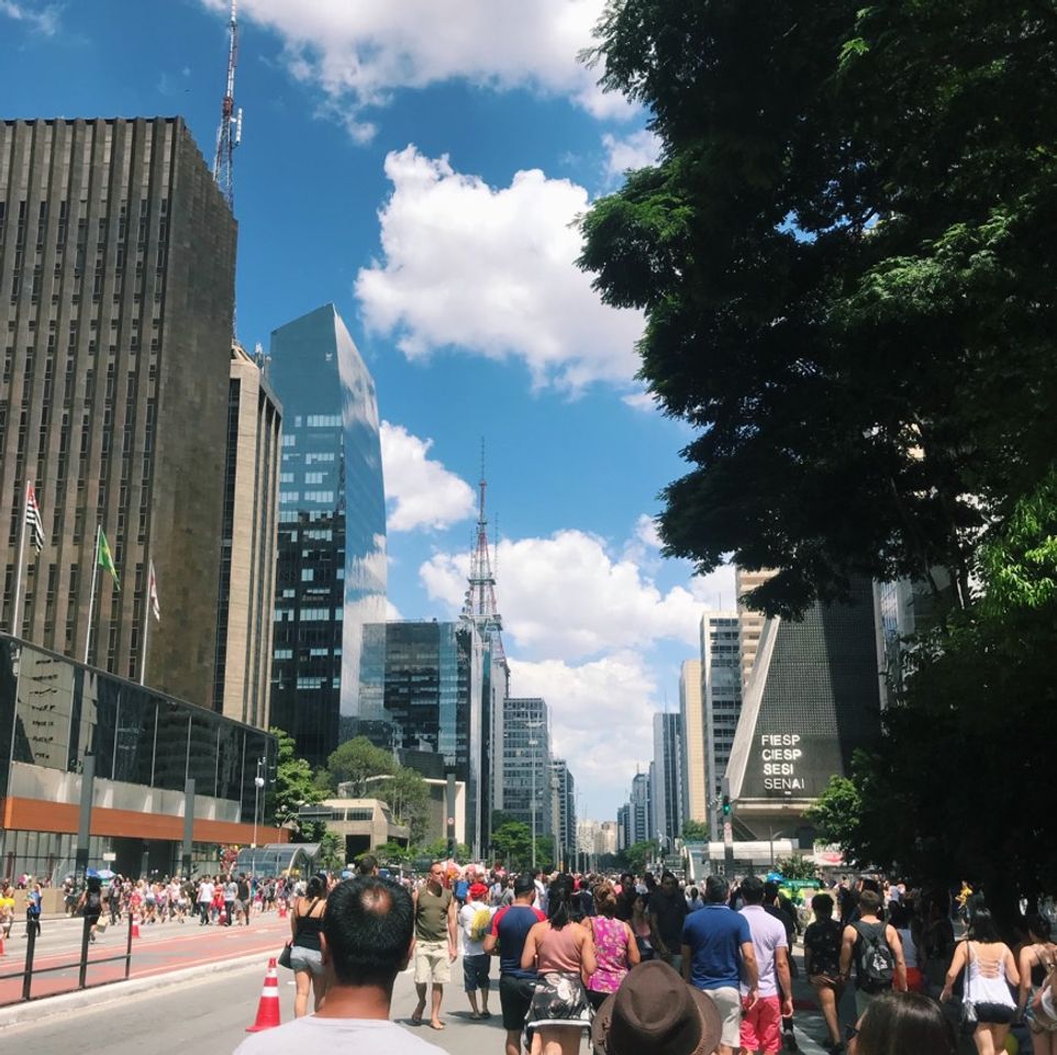 Lugar Avenida Paulista