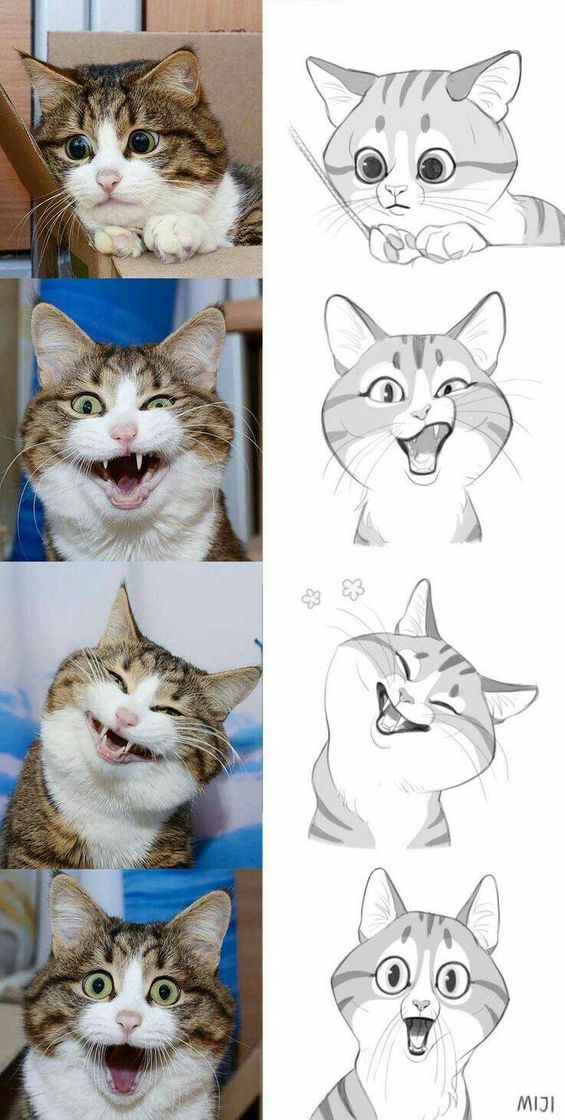 Moda Gato ao lado de seu desenho 