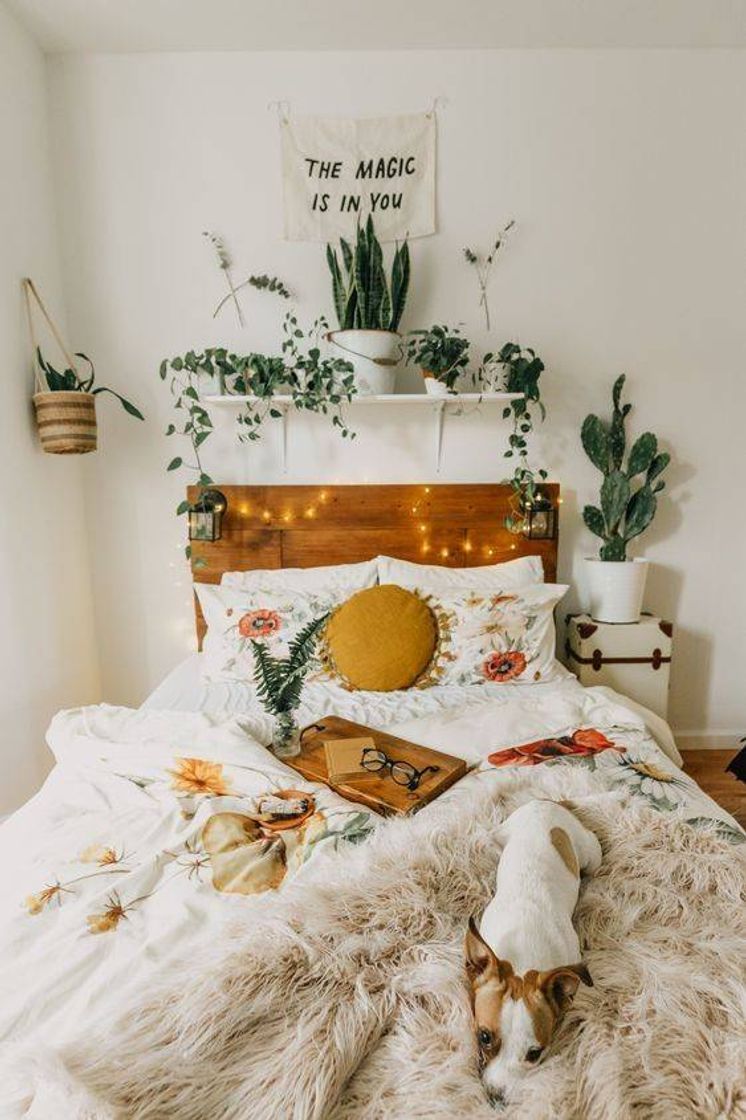 Moda Decoração com plantas