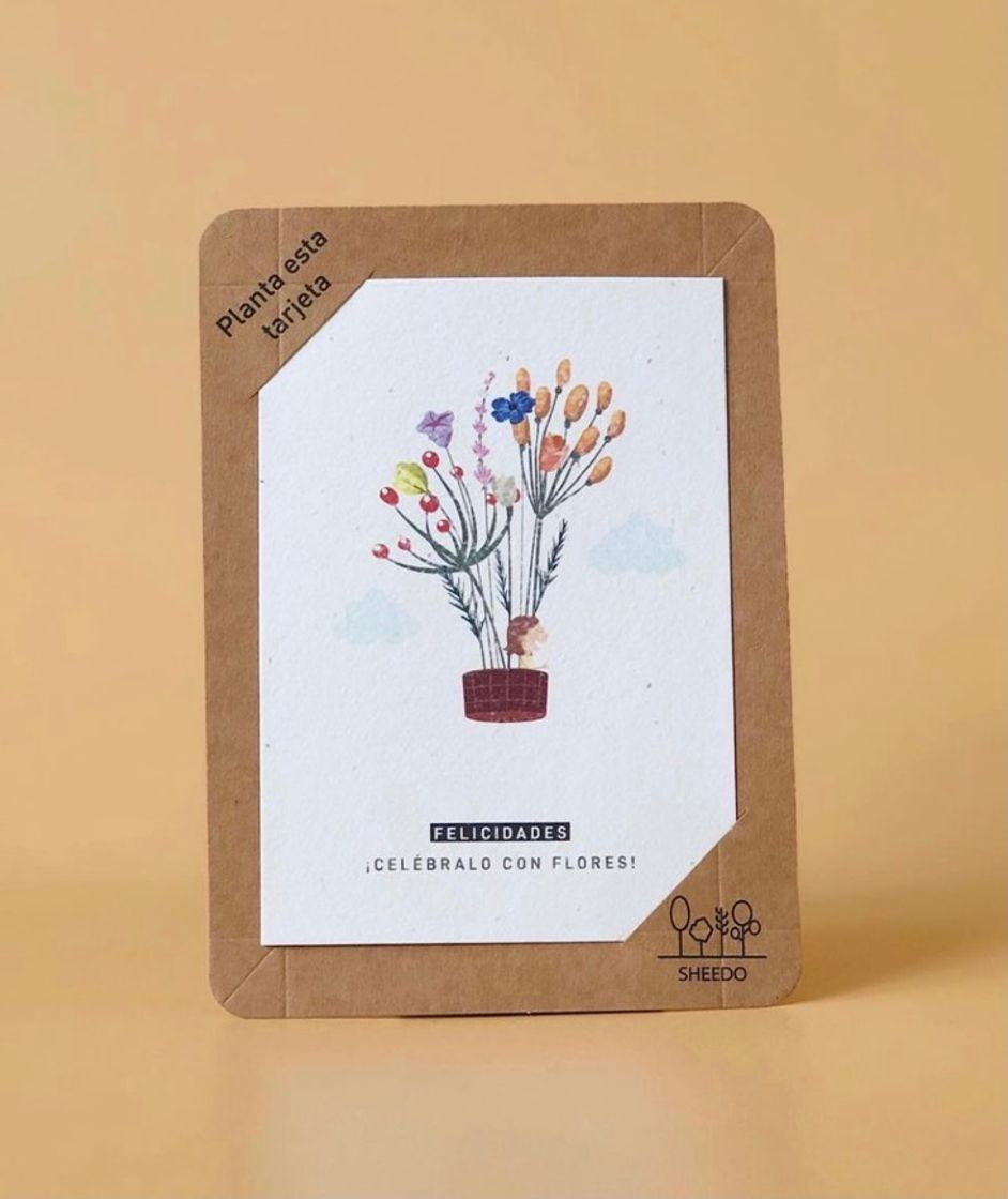 Moda Seeds paper. Tarjetas que florecen