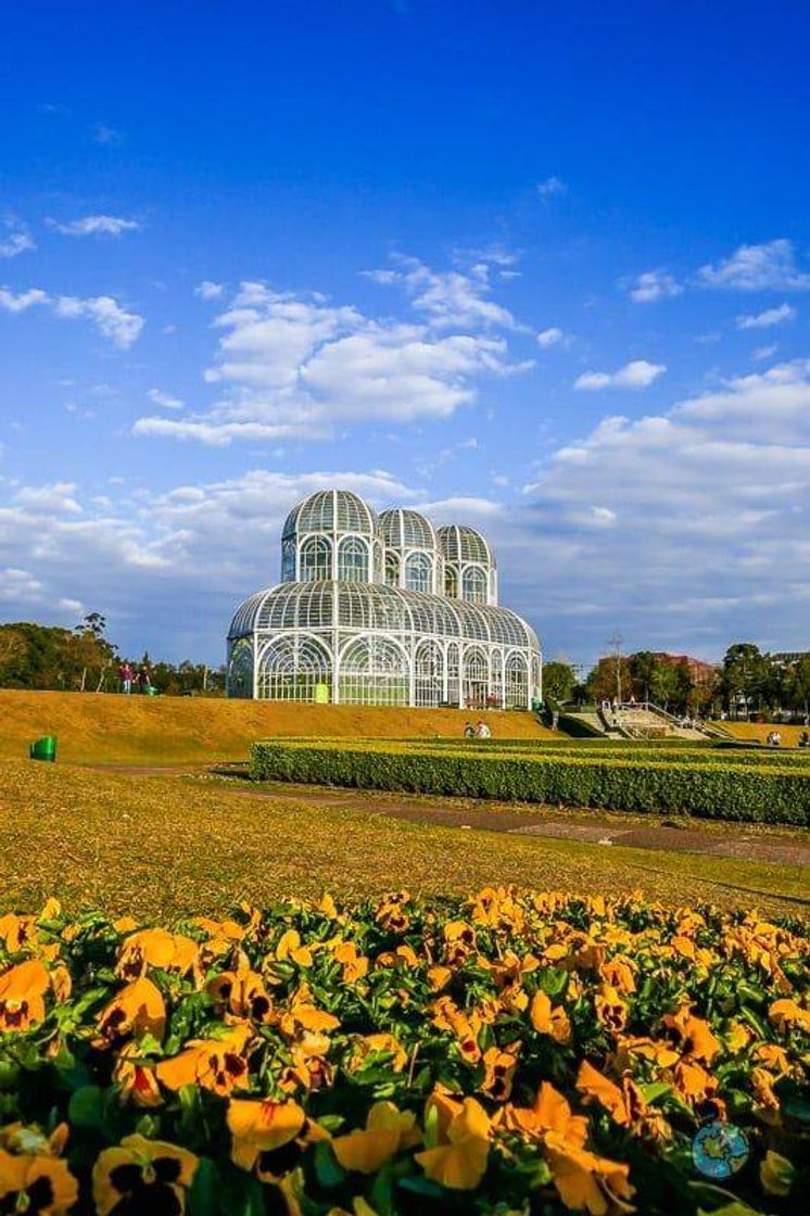 Moda Jardim botânico, Curitiba 😍