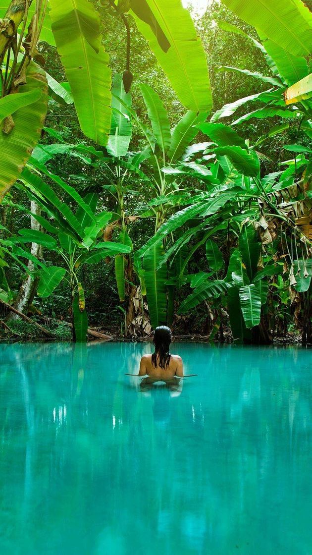 Moda Conheça as belezas do Jalapão 🏞