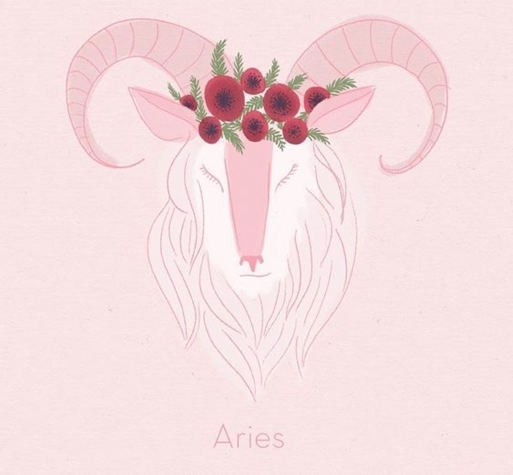 Fashion Aries 