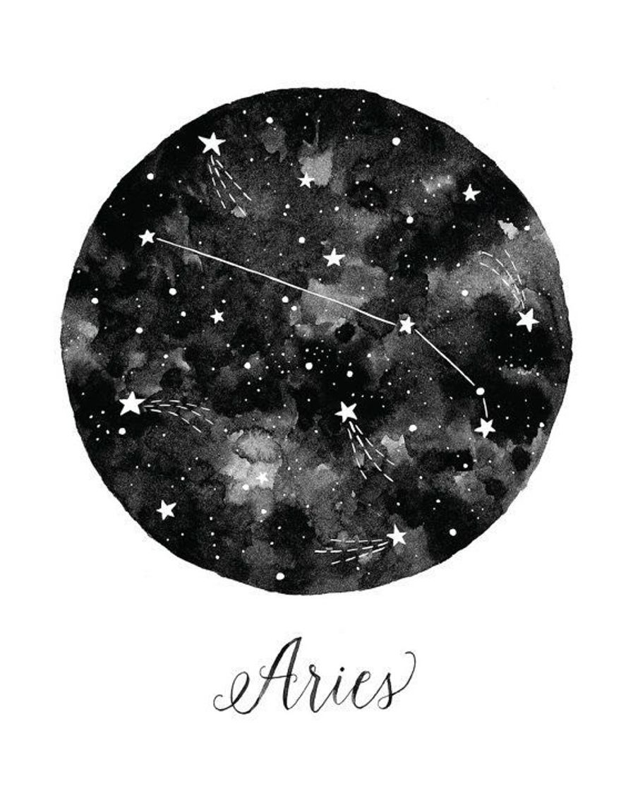 Fashion Aries 