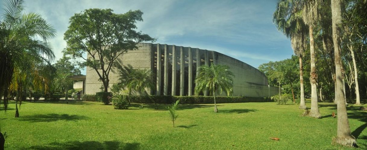 Lugar Museo de Sitio de El Tajín