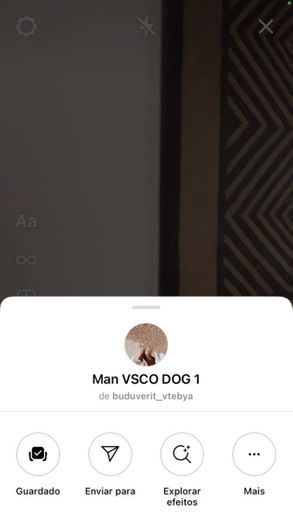 Man VSCO DOG 1 by buduverit_vtebya