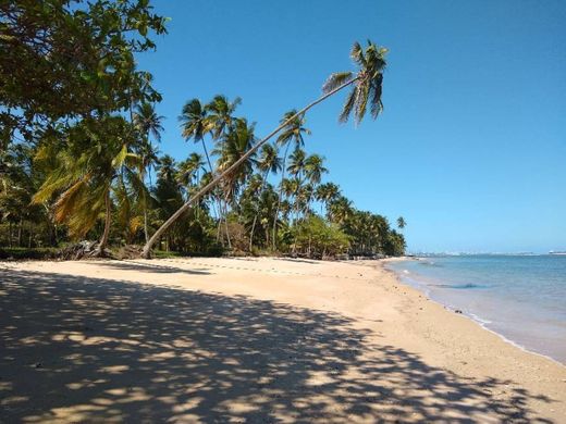 Paraíso Tropical- Barra Grande, Vera Cruz- BA