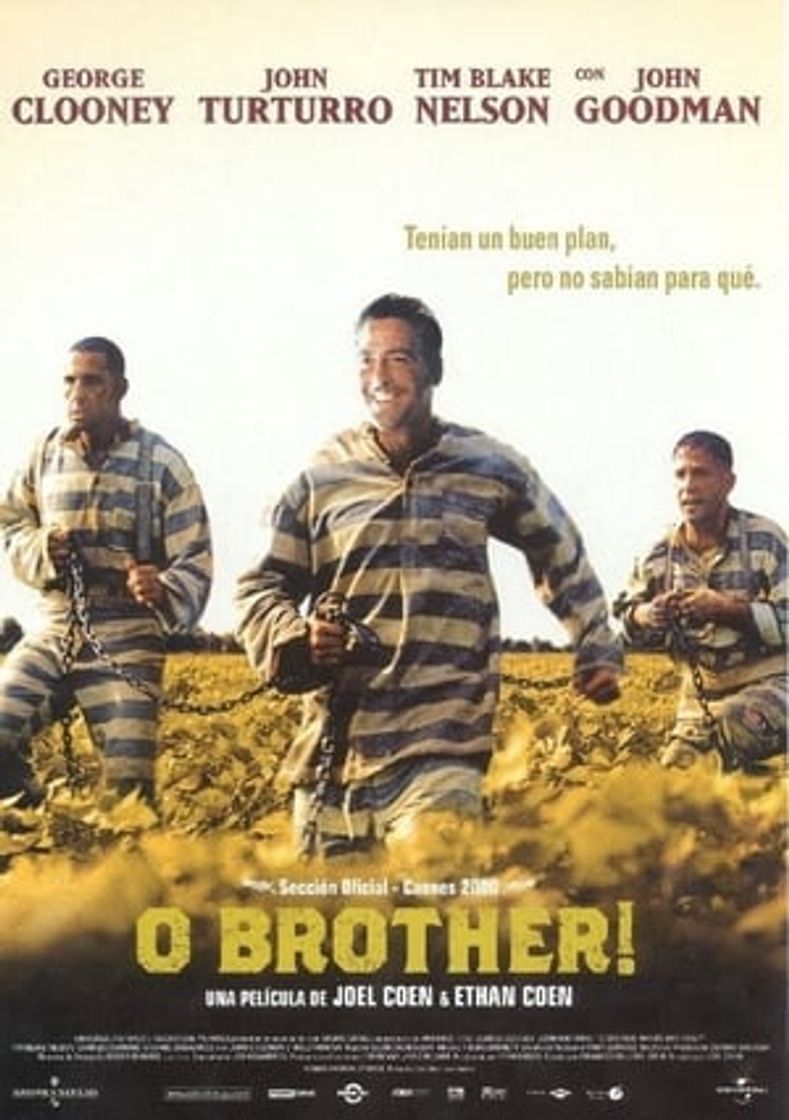 Película O Brother!