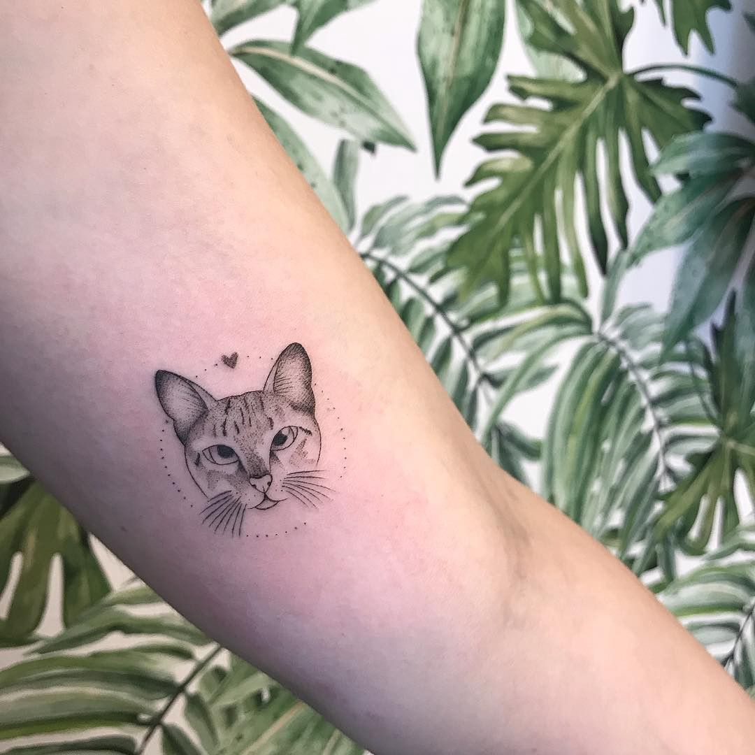 Fashion Tatuagem de gatinhos