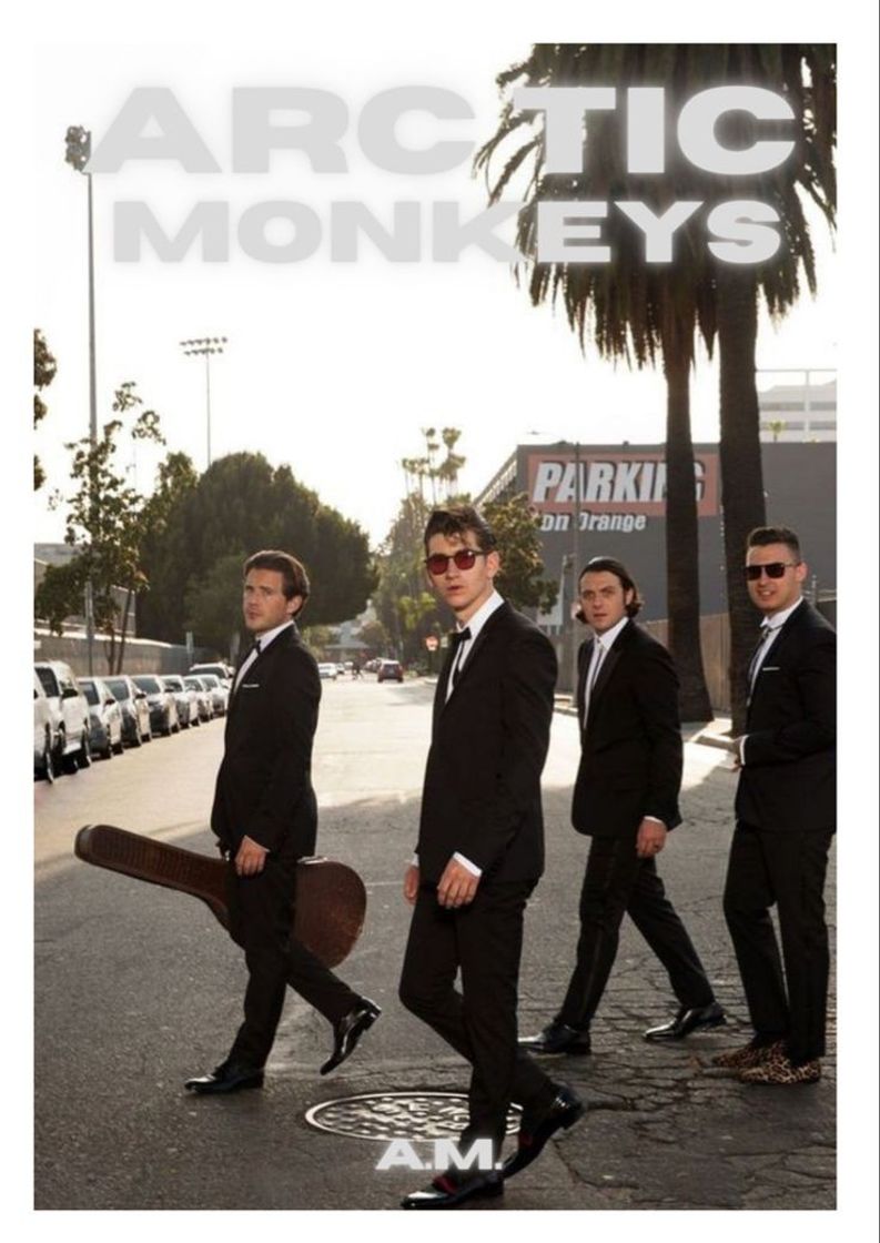 Social Artic monkeys 