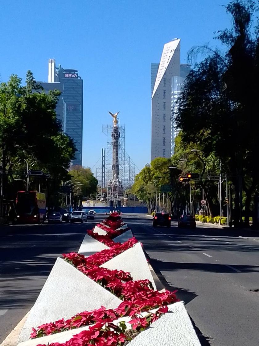 Place Ángel de la Independencia