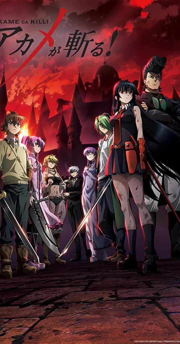 Fashion Anime Akame ga kill 