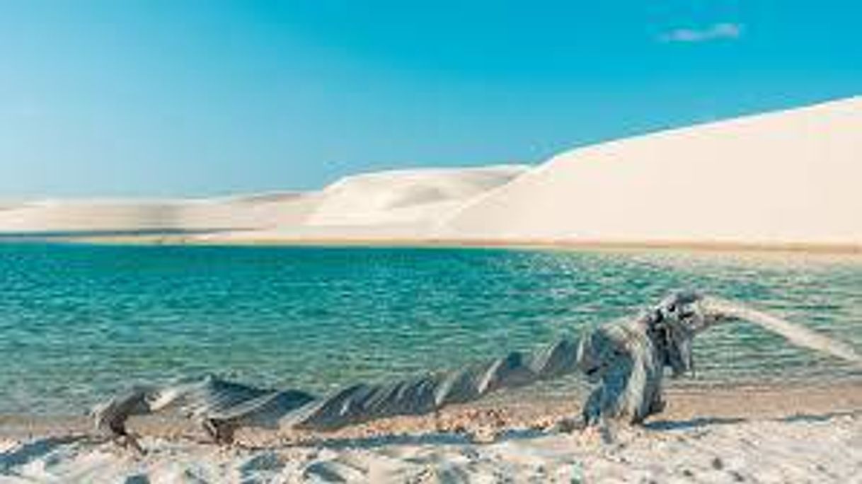 Place Lençóis Maranhenses