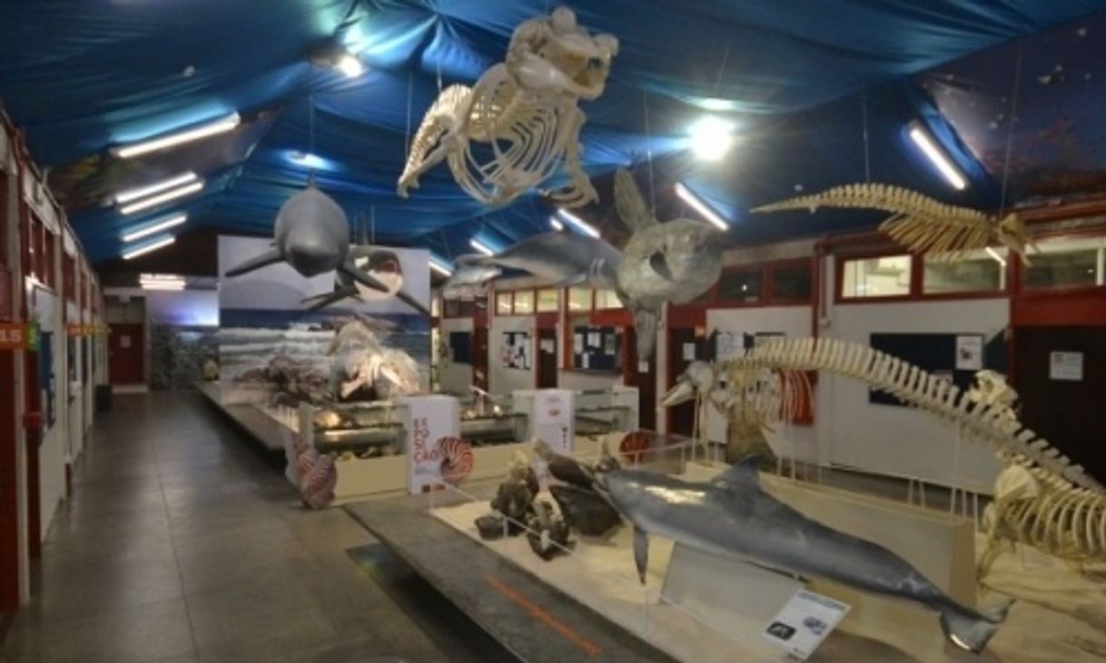 Place Museu de Zoologia UNESC