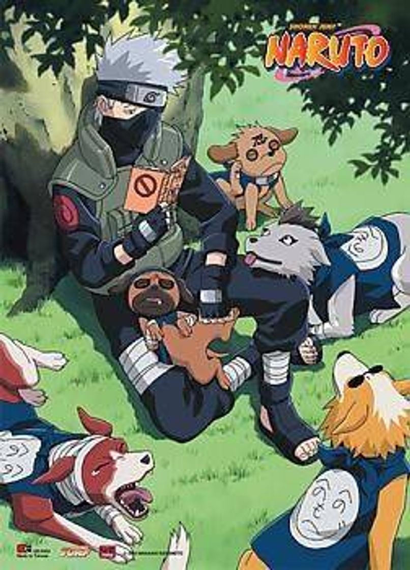 Fashion Kakashi e seu dog