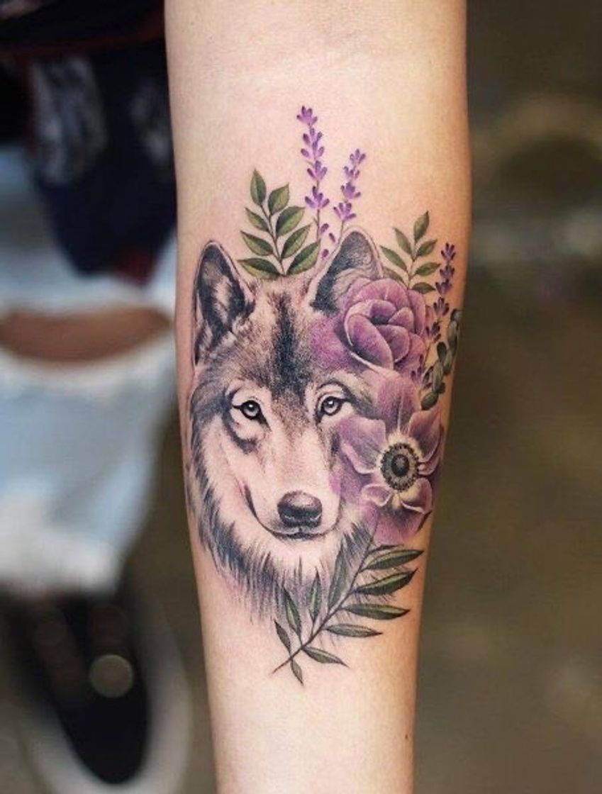 Fashion 🐺 