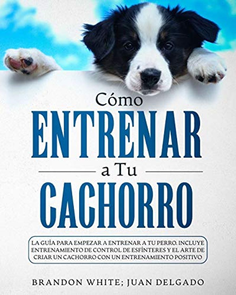 Libros Cómo entrenar a tu cachorro: La guía para empezar a entrenar a