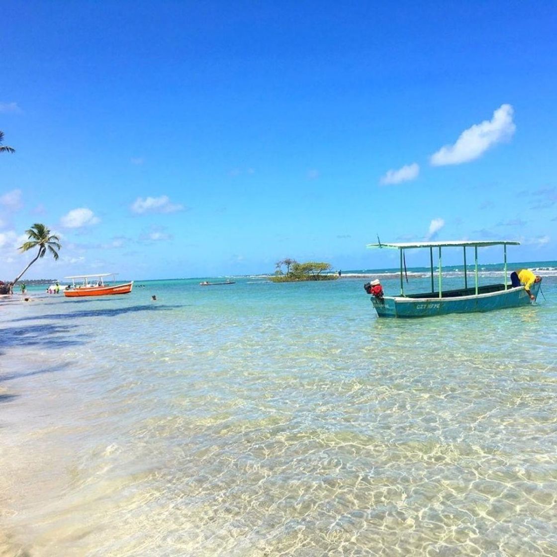 Social Praia dos Carneiros – Pernambuco