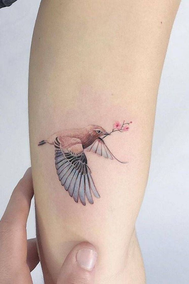 Moda Tatuagens delicadas de pássaros 🐦💙