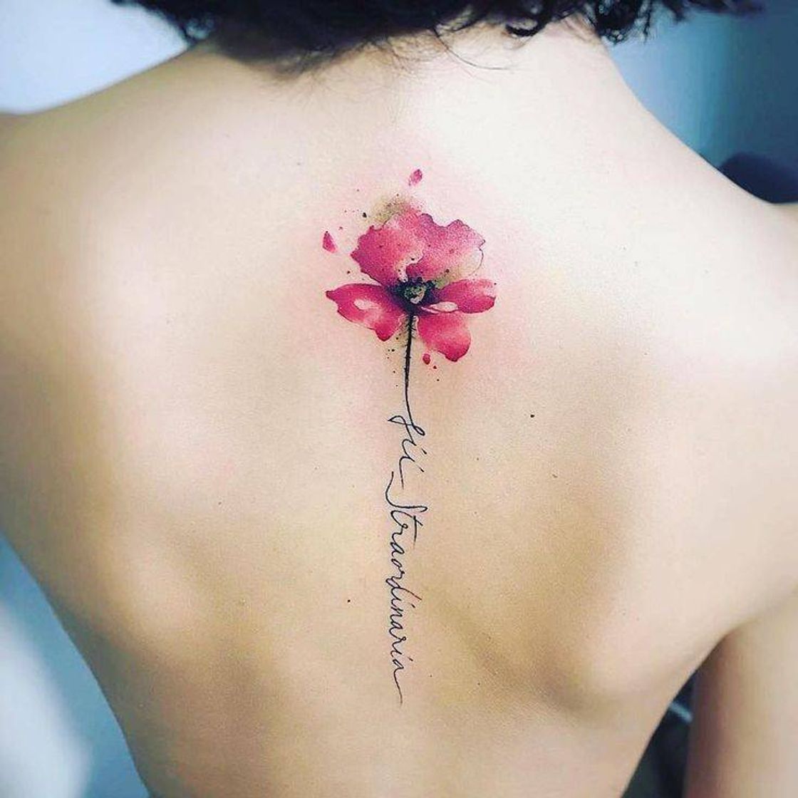 Moda TATTOO