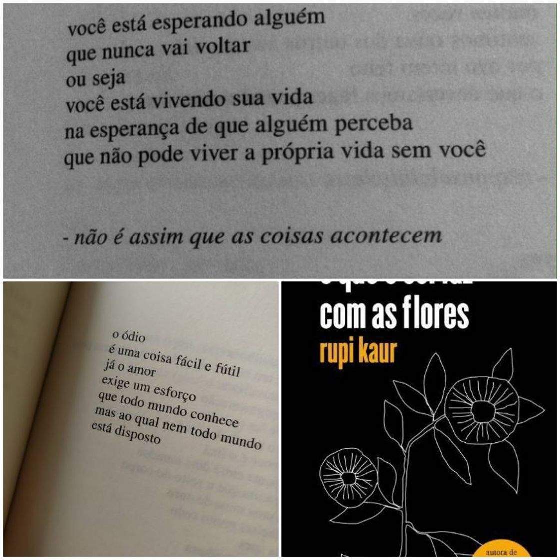 Book o que o sol faz com as flores