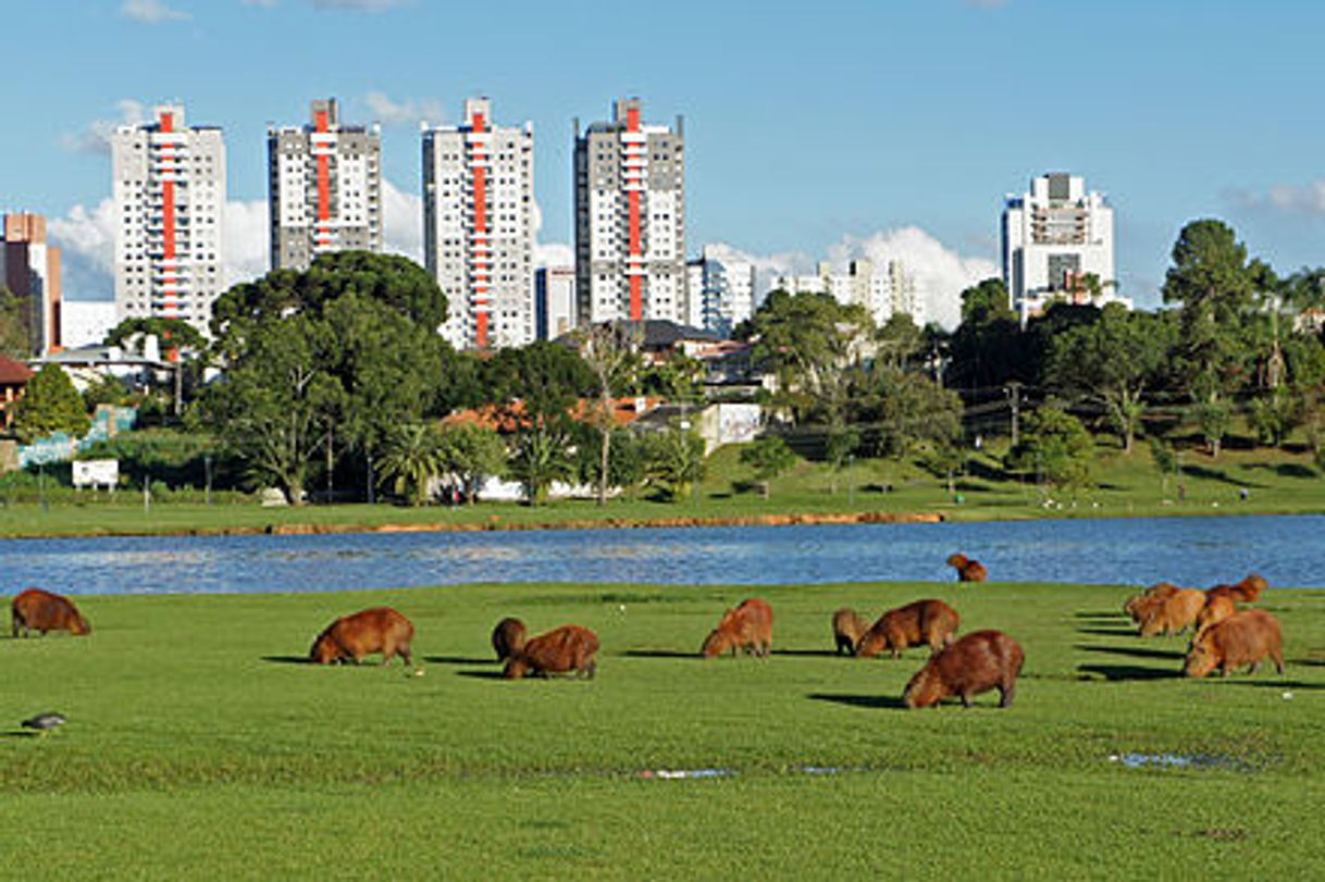 Places Parque Barigüi Lago