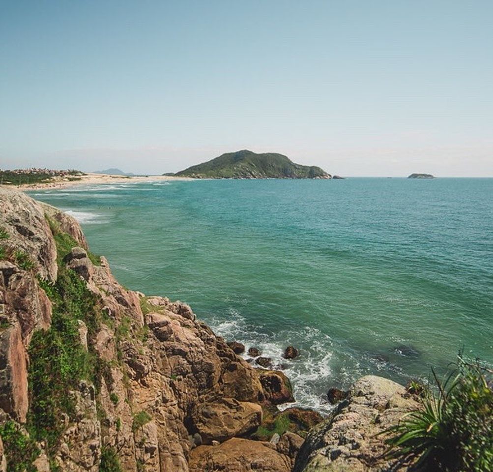 Place Trilha do Morro das Aranhas