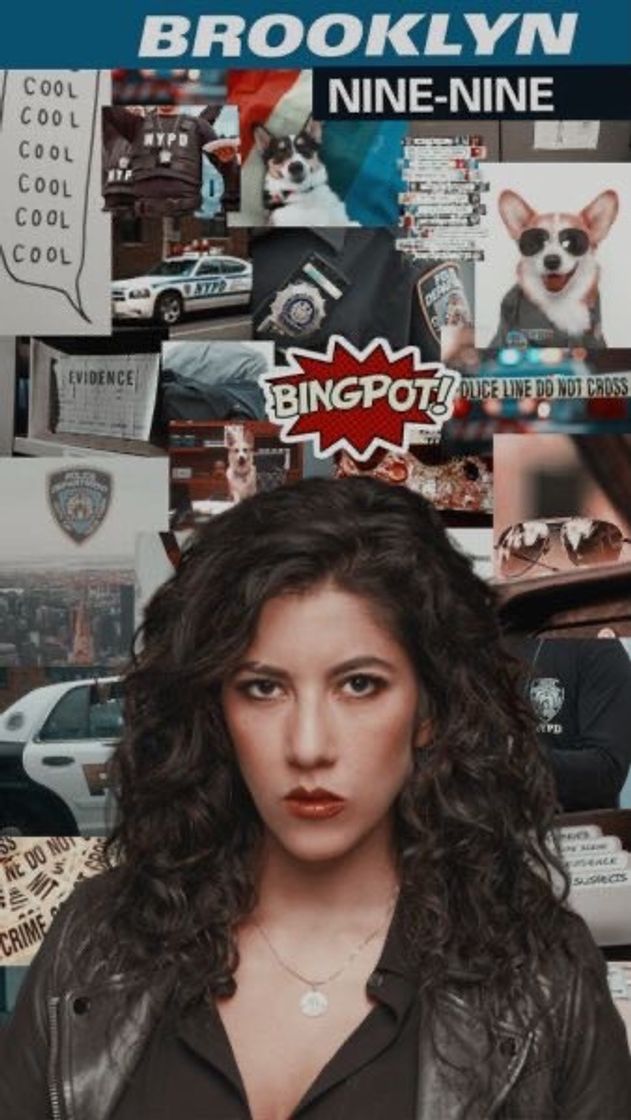 Brooklyn Nine-Nine: Lei e Desordem