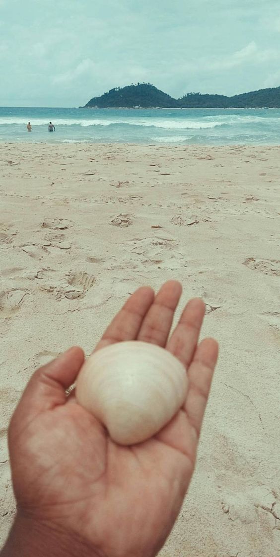 Place Praia do Campeche