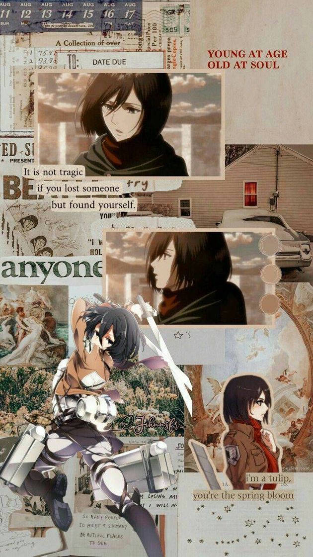 Moda Mikasa wallpaper