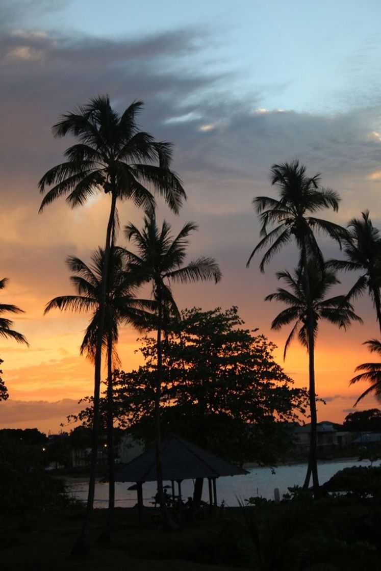 Lugar Guiana francesa 🇬🇫 