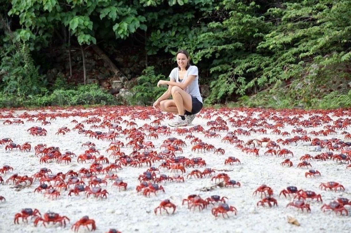 Place Christmas Island
