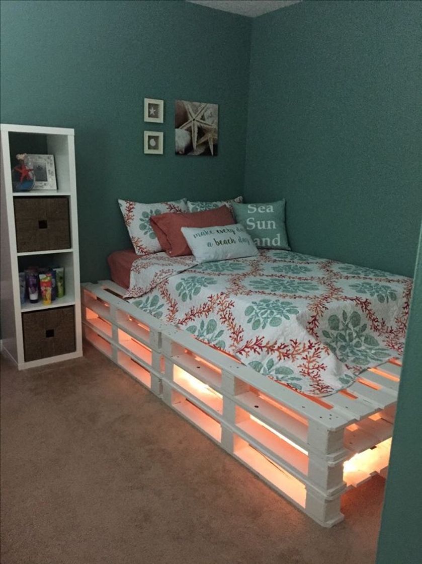 Social Quarto