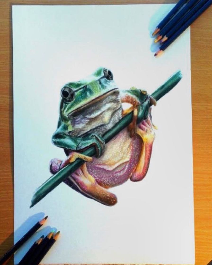 Moda Desenho Realista Sapo 🐸✍🏽❤️